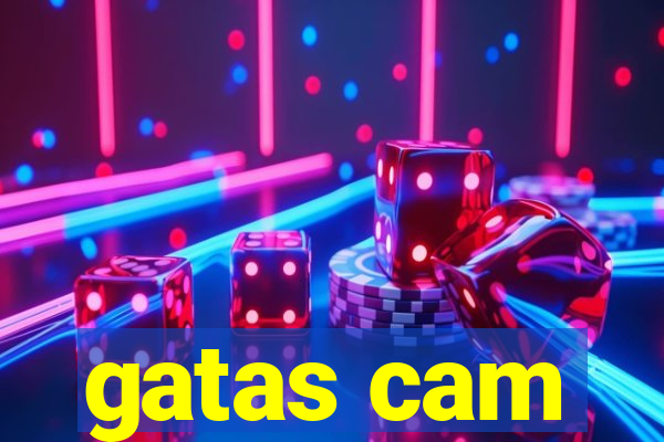 gatas cam